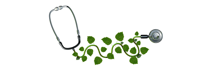 Naturopathic Medicine
